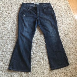 NWOT Maurice’s Jeans size 16